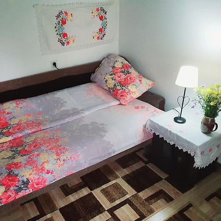 Hotel Etno Domacinstvo Saponjic Nova Varoš Zewnętrze zdjęcie
