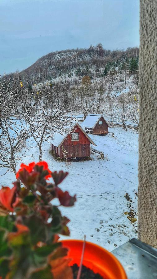 Hotel Etno Domacinstvo Saponjic Nova Varoš Zewnętrze zdjęcie